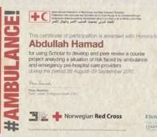 (analysis of emergencies facing paramedics) English II